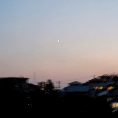 呼応のジャケット写真