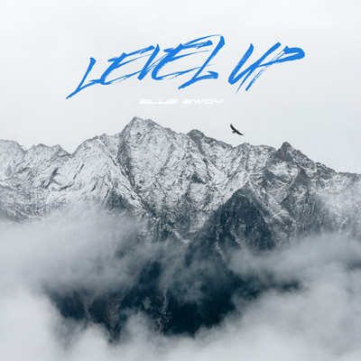 LEVEL UPのジャケット写真