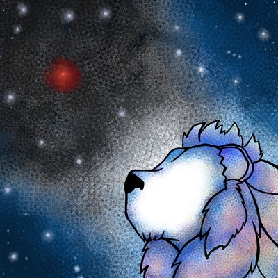 星の花のジャケット写真