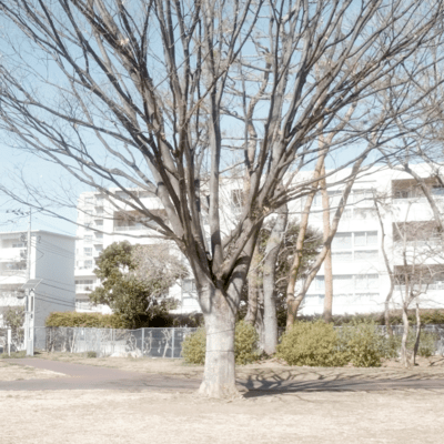 花粉症のジャケット写真