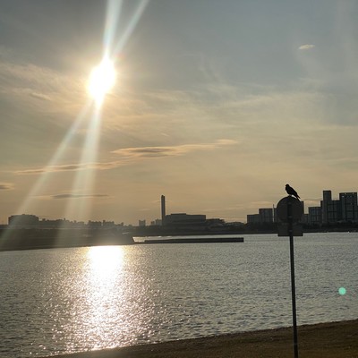 光の影 (feat. MOHARU)のジャケット写真