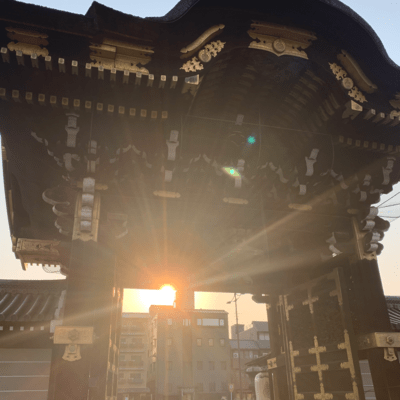 生きている人のためにのジャケット写真