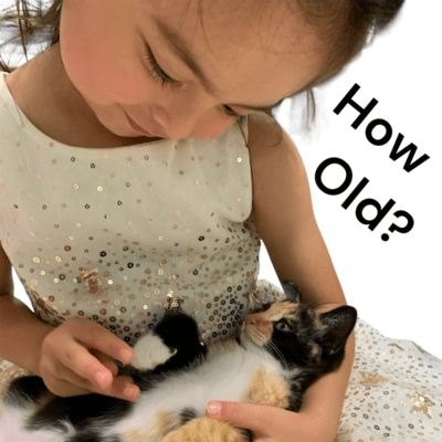 How Old?のジャケット写真