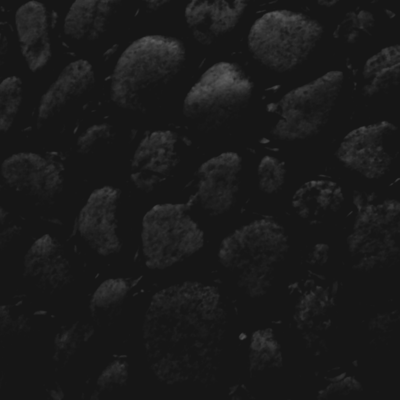 サナギのDANCEのジャケット写真