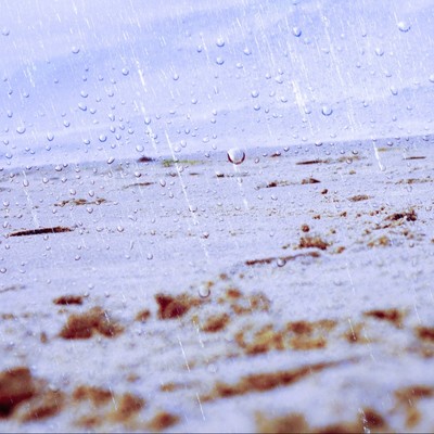 梅雨のジャケット写真