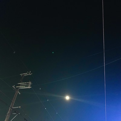 月が綺麗な夜はのジャケット写真