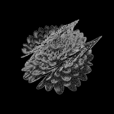 メジャーリーガーのジャケット写真