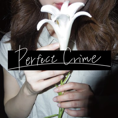 Perfect Crime Front Cover