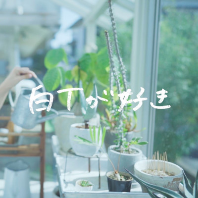 白Tが好きのジャケット写真