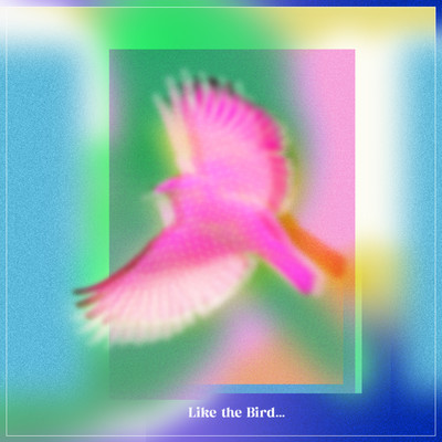 Like the Bird Front Cover