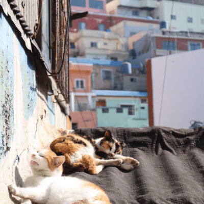 グッドモーニングのジャケット写真