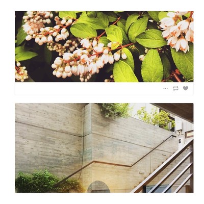 Spring Snow Front Cover