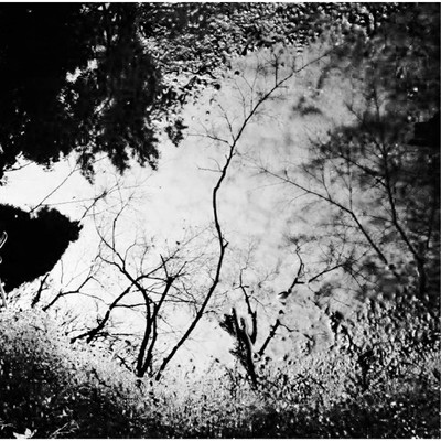 Gregorian calendar Front Cover