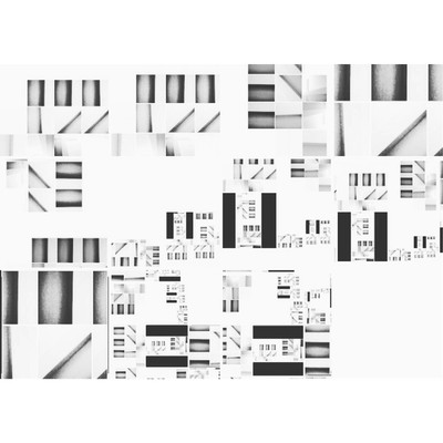 Defender of the Forest Front Cover