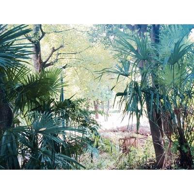 Over The Sky Front Cover