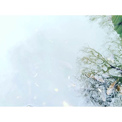 STORY -2016- Front Cover