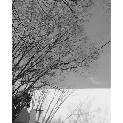 Family -2016- Front Cover