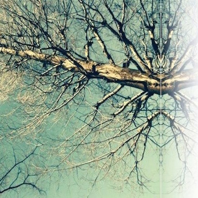 Wind and light Front Cover