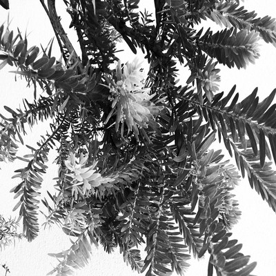 Les vêtementsのジャケット写真