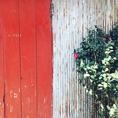 Encounter Front Cover