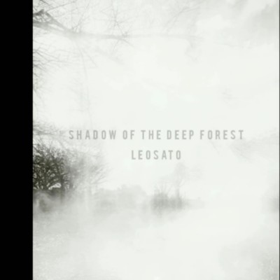 Shadow of the deep forest / 遠い窓のジャケット写真