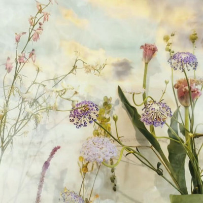 The Umbrellas of Cherbourg Front Cover