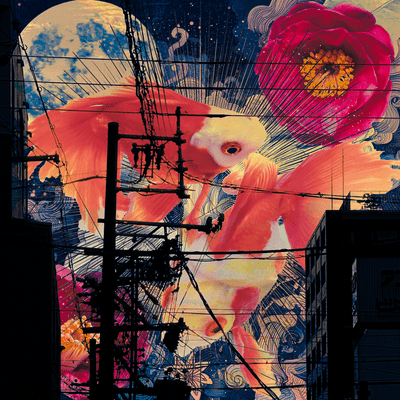 The Twilight Goldfish Front Cover