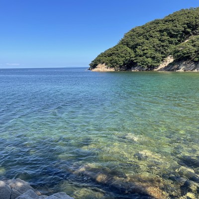 SUMMER DAYS (feat. Jamn K)のジャケット写真