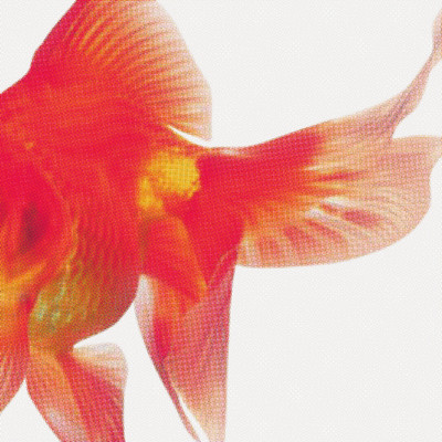 Flaring Front Cover