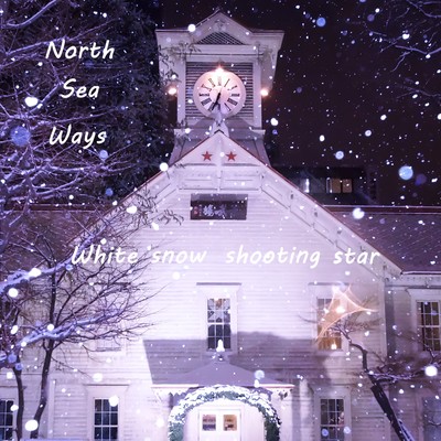 White snow shooting star Front Cover