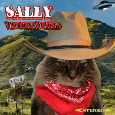 VOICE&VIBES Front Cover