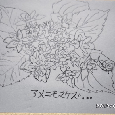 AMENIMOMAKEZU Front Cover