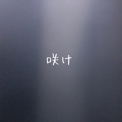 咲けのジャケット写真