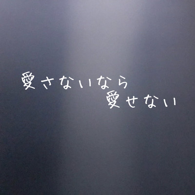 愛さないなら愛せないのジャケット写真