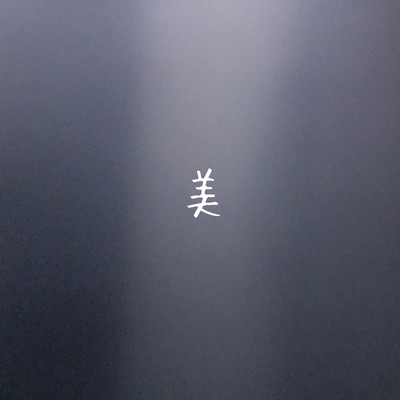 美のジャケット写真