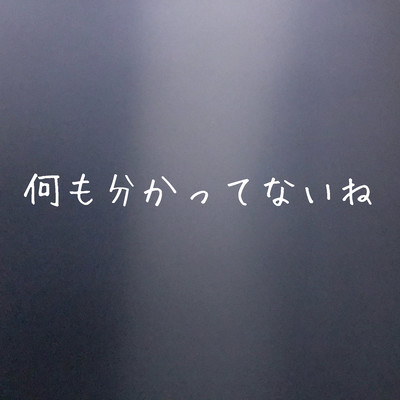 何も分かってないねのジャケット写真