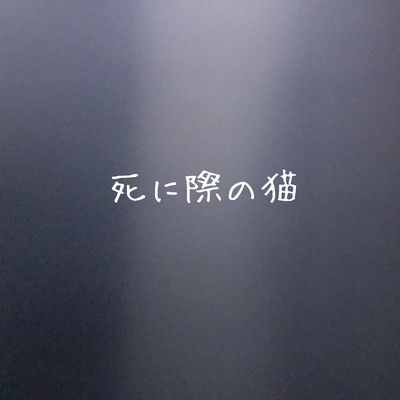 cat on the verge of death Front Cover