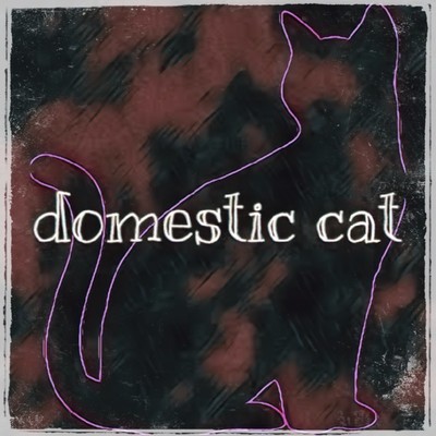 domestic cat Front Cover
