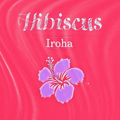 Hibiscus Front Cover