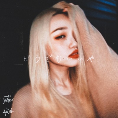 I don't care Front Cover