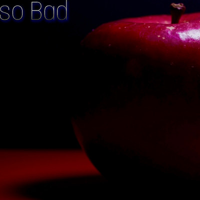 so Bad Front Cover