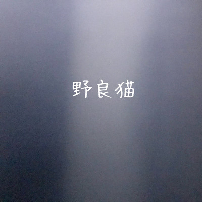 stray cat Front Cover