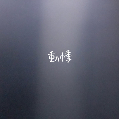 palpitations Front Cover