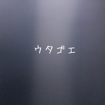 singing voice Front Cover