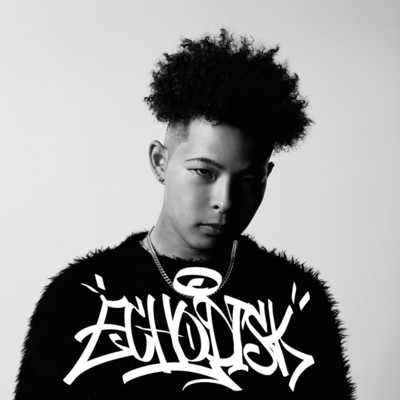 ECHO DISC Front Cover