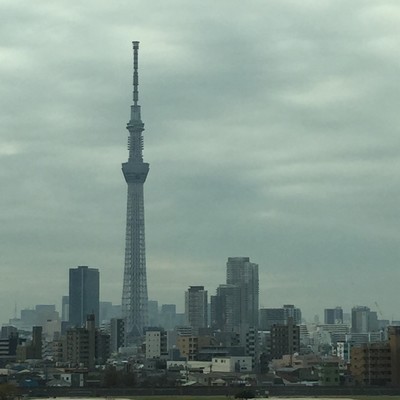 THE LAST DATE Front Cover