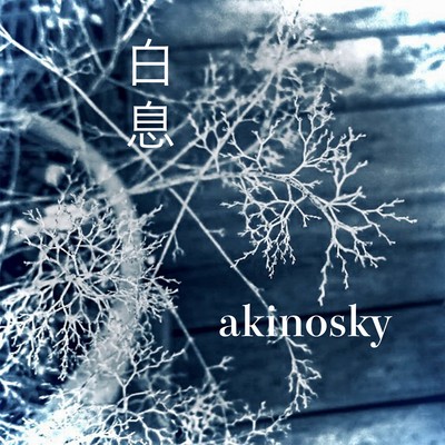 shiraiki Front Cover