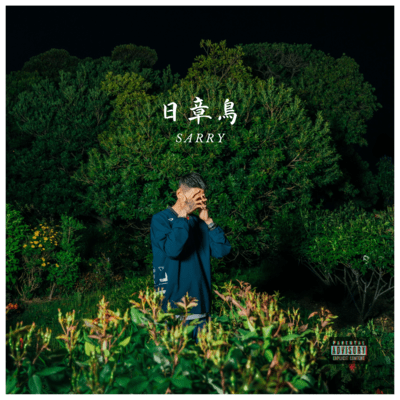 日章鳥のジャケット写真