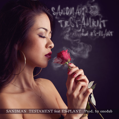 TESTAMENT (feat. ES-PANT) Front Cover
