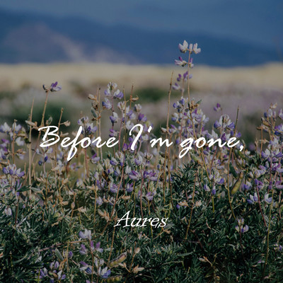 Before I'm gone, Front Cover